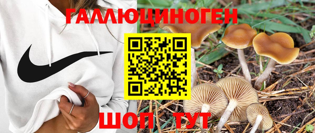 Псилоцибиновые грибы Magic Shrooms Минеральные Воды